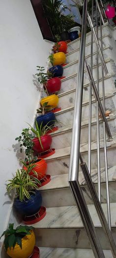 several pots with plants on the bottom of a stair case next to a hand rail