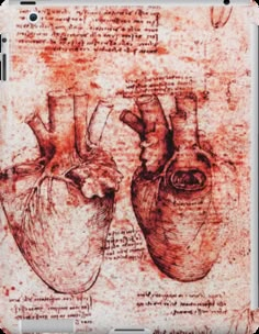 an old drawing of two human heart vessels