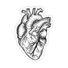 the human heart sticker is shown in black and white, with an ink drawing effect