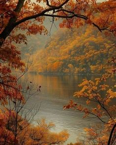 an autumn scene with trees and water in the foreground