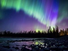 an aurora bore is seen in the sky above some trees and rocks near a body of water