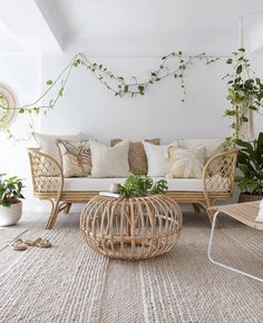 a living room with wicker furniture and plants