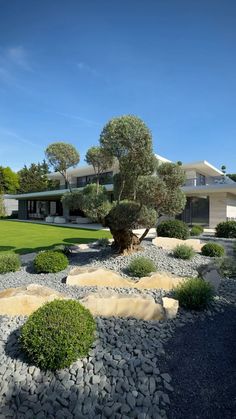 a modern house with stone steps leading up to the front yard and trees in the foreground