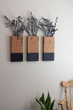 three wooden vases with plants in them on the wall