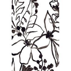 a drawing of flowers on a white background