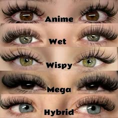 Types Of Eyelashes, Lash Map, Lash Maps, Lash Ideas, Lashes Tutorial, Lashes Fake Eyelashes, Lash Mapping, Eyelash Technician, Lash Styles