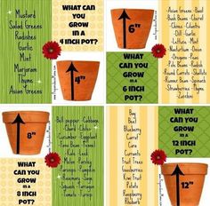 four potted plants with the words what can you grow in them? and an arrow pointing