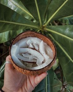 a person holding a coconut in their hand