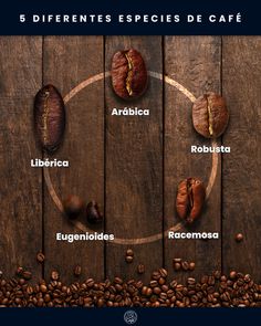 different types of coffee beans arranged in a circle on a wooden table with the names of them