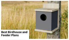 a birdhouse and feeder on a tree in the middle of a field with tall grass