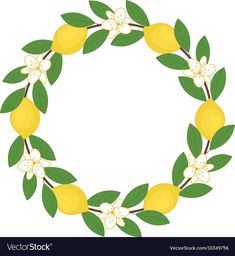 lemons with leaves and flowers on a white background