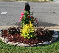 a mailbox in the middle of a flower bed with flowers growing out of it