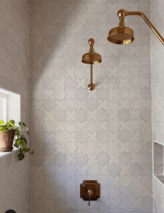 a white toilet sitting next to a shower head in a bath room under a window