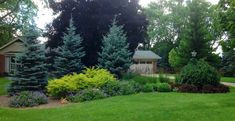 a green yard with trees and flowers in the foreground