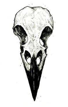 a black and white drawing of a bird's skull