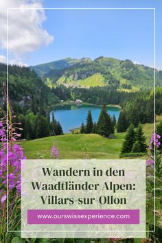 Wandern in den Waadtländer Alpen: Villars-sur-Ollon - Unsere Schweizer Erlebnisse