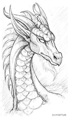 a drawing of a dragon's head with its eyes closed and the tail curled up