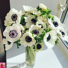 an arrangement of white and black flowers in a vase on a window sill next to a mirror