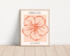 an orange flower on a pink background with the words hirscusus