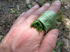 a hand holding a green leaf with the words survival hacks using just leaves