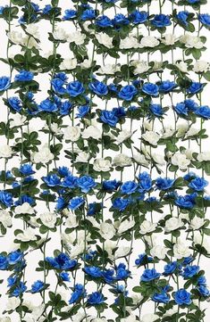 blue and white flowers with green leaves on the stems, against a white sky background