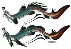 two dragon like creatures with long tails and tail feathers, one is red and the other is blue