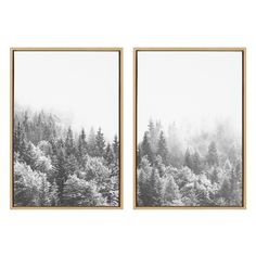 two black and white pictures with trees in the background, one is framed on a wall