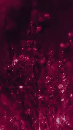 Deep Pink Aesthetic Wallpaper, Aesthetic Magenta Wallpaper, Reddish Purple Aesthetic, Dark Magenta Aesthetic Wallpaper, Magenta Aesthetic Wallpaper Iphone, Magenta Aesthetic Background, Pastel Magenta Aesthetic, Magenta Pink Aesthetic, Light Magenta Aesthetic