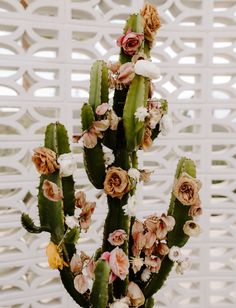 a cactus with flowers in a vase on a white tableclothed wall behind it