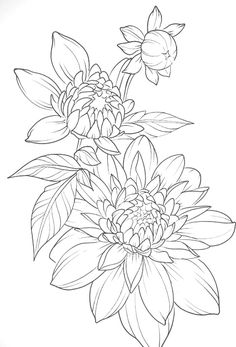 a black and white drawing of flowers