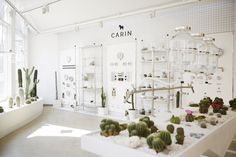 a room filled with lots of potted plants next to a wall covered in shelves