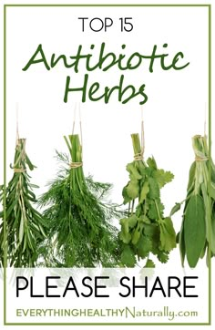 Natural Healing Remedies, Natural Antibiotics, Natural Therapy, Natural Home Remedies