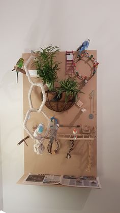 there is a plant on the wall with other things hanging from it's sides