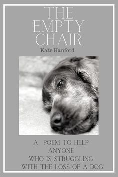 the empty chair book cover with a dog's head in black and white photo