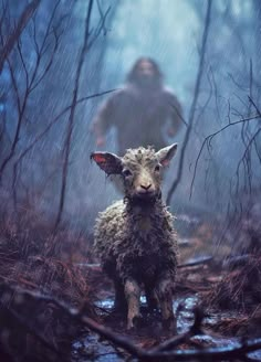 a sheep standing in the middle of a forest