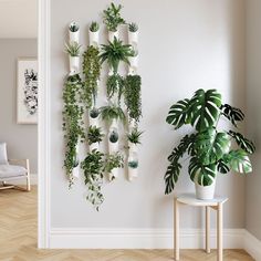 there are many plants hanging on the wall next to each other in this living room