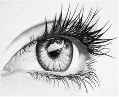 a pencil drawing of an eye with long lashes