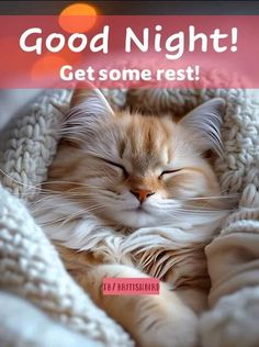 an orange and white cat sleeping in a blanket with the caption good night get some rest