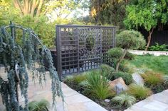 a garden with rocks and plants in it