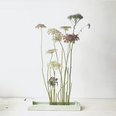 some flowers are in a square vase on a white table with no one around them