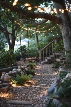 an outdoor walkway with lights strung from the trees and rocks on both sides, leading to a set of stairs