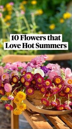 flowers that love hot summer's are in a basket on a bench with the words, 10 flowers that love hot summers