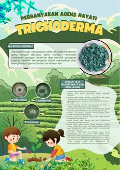 an info sheet describing the benefits of trichoderma in children's health