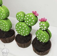 three cupcakes with green frosting and white polka dots on them are arranged in the shape of cactuses