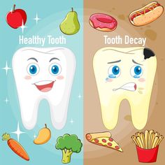 Free vector infographic of healthy tooth... | Free Vector #Freepik #freevector #periodontitis #teeth-cartoon #tooth-cartoon #gum Tooth Decay Cartoon, Food For Healthy Teeth, Public Health Dentistry, Dental Sayings, Tooth Clipart, Dentist Cartoon, Happy Tooth