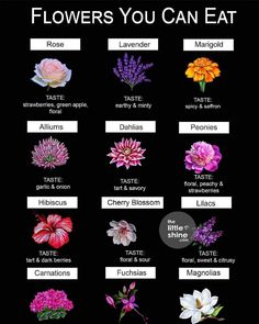 the flowers you can eat poster is shown in black and white, with different types of flowers