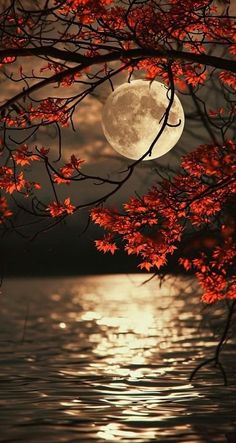 the full moon is shining brightly in the night sky over water and trees with red leaves