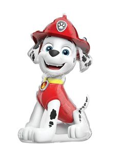 a white and black dog wearing a red fireman's hat sitting on the ground