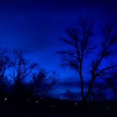 the trees are silhouetted against the dark blue sky at night with no leaves on them