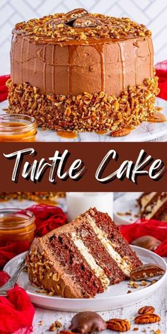 a chocolate cake with nuts on top and the words turtle cake above it in front